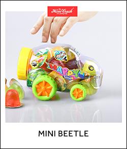 product-1-1 mini beetle.jpg