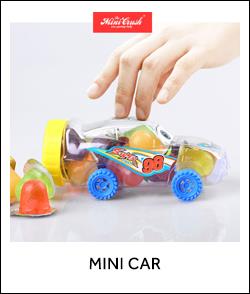product-1-1 mini car.jpg